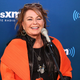 Image for article titled Drugmaker to Roseanne after she blames tweet on pills: "Racism is not a known side effect"